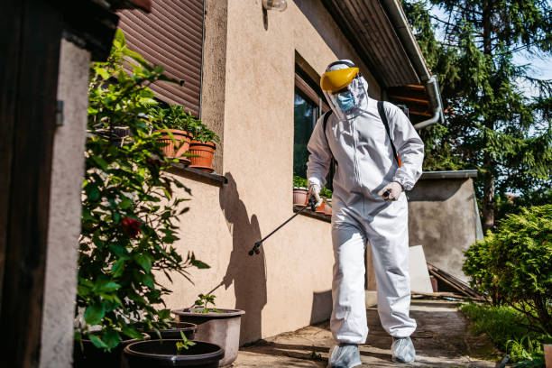 Best Cockroach Control Services  in Perkins, OK