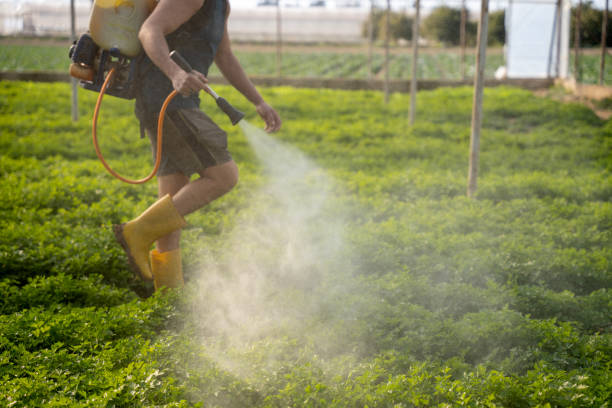 Best Affordable Pest Control Services  in Perkins, OK