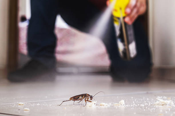 Best Best Pest Control Companies  in Perkins, OK